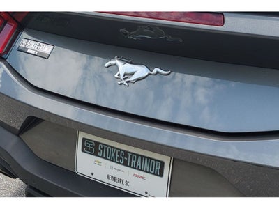 2025 Ford Mustang EcoBoost